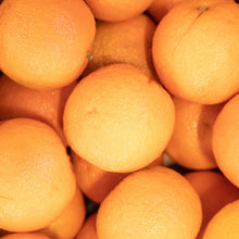 Load image into Gallery viewer, Seville Orange Marmalade
