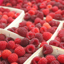 Load image into Gallery viewer, Raspberry Mostarda
