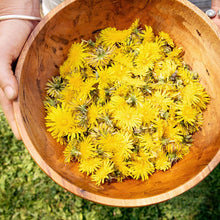 Load image into Gallery viewer, Rhubarb with Dandelion &amp; Honey
