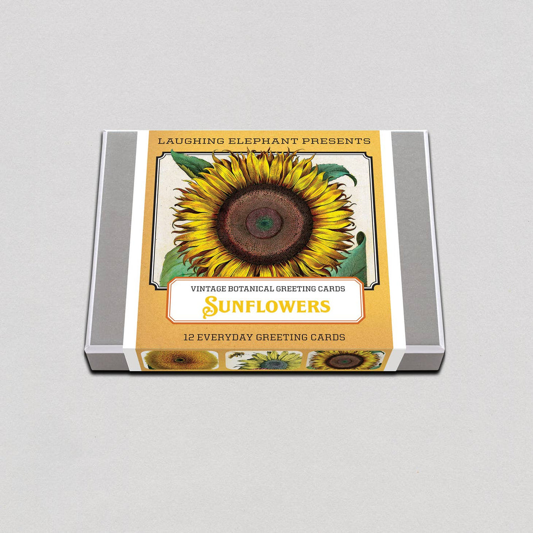 Everyday Greeting Card Box