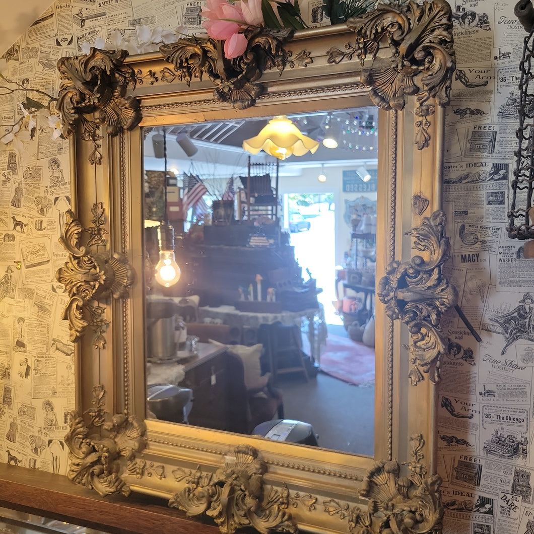 Ornate Resin Framed Mirror