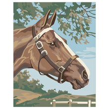 Load image into Gallery viewer, Horse Paint by Number
