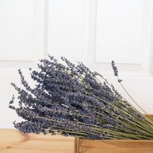 Load image into Gallery viewer, French Lavender Bundle
