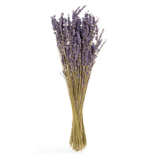 Load image into Gallery viewer, French Lavender Bundle
